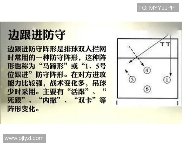 杭州排球队反击战术深度解析与实战应用探讨