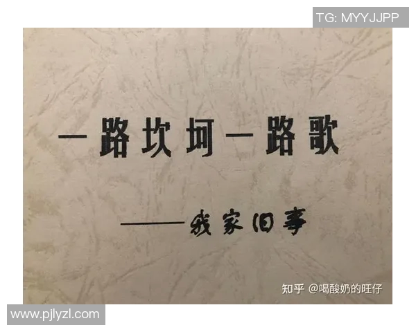 焦泊乔:在时代洪流中追寻梦想与自我价值的年轻奋斗者